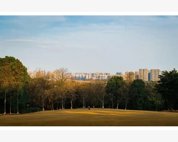 气血不足，养生要注意这些
